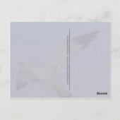 ペガサスホース&シーガルズファンタジーポストカード ポストカード (裏面)