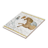 ペガサス天地図 タイル (側面)