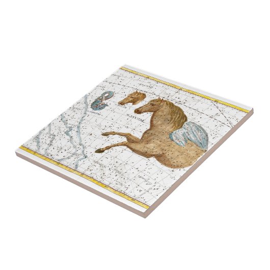 ペガサス天地図 タイル (側面)