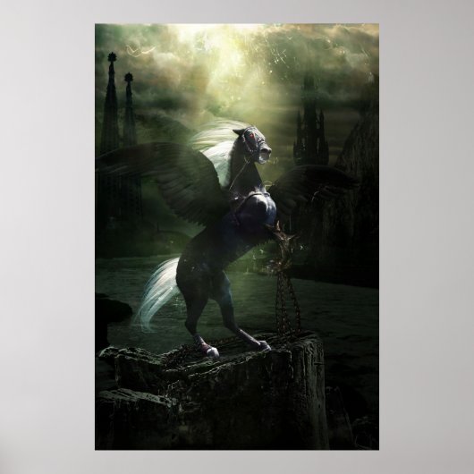 ペガサス戦 ポスター (正面)