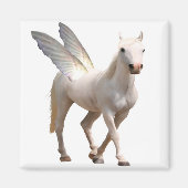 ペガサス磁石 マグネット (正面)