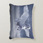 ペガサス飛行中 アクセントクッション (正面(垂直))