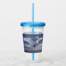 ペガサス飛行中