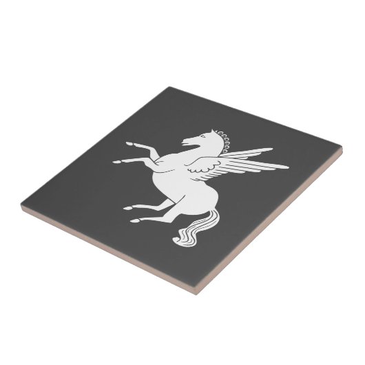 ペガサス タイル (側面)