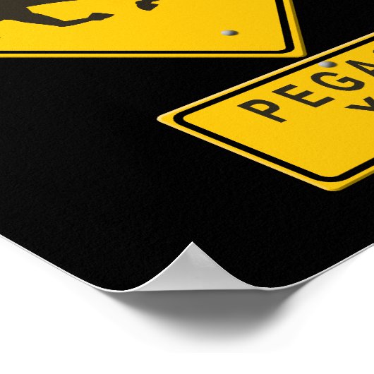 ペガサスXING ポスター (角)