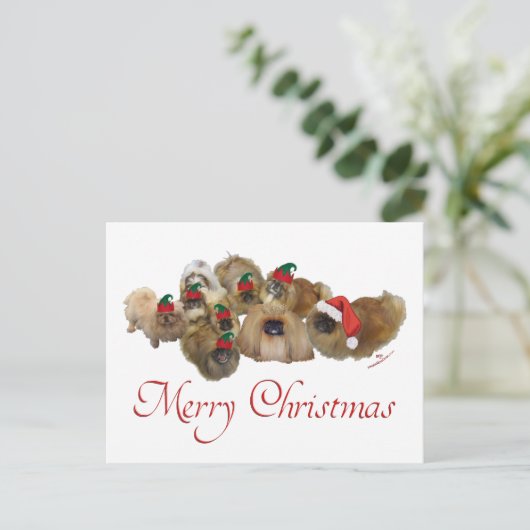 ペキゲスグループクリスマス シーズンポストカード (スタンド正面)