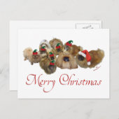 ペキゲスグループクリスマス シーズンポストカード (正面/裏面)