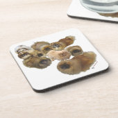 ペキゲスグループ コースター (左側)