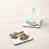 ペキゲスグループ コースター (右側)