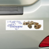 ペキゲスグループ バンパーステッカー (車上)