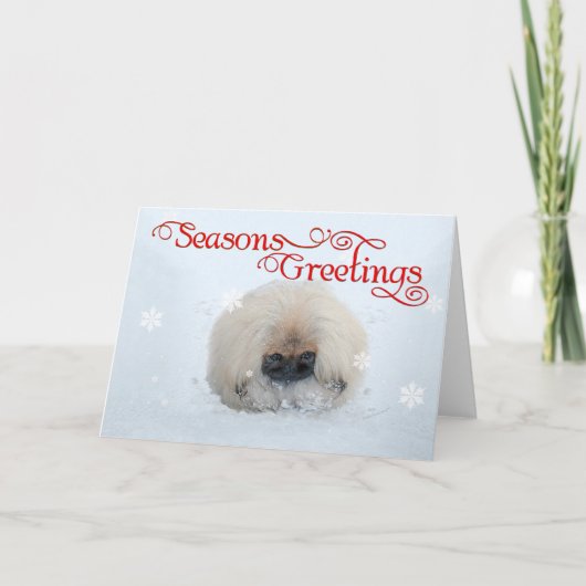 ペキニーズの子犬の初めてのクリスマス シーズンカード (正面)
