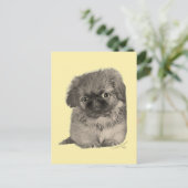 ペキニーズの子犬 イエロー ポストカード (スタンド正面)