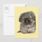 ペキニーズの子犬 イエロー ポストカード (正面/裏面)