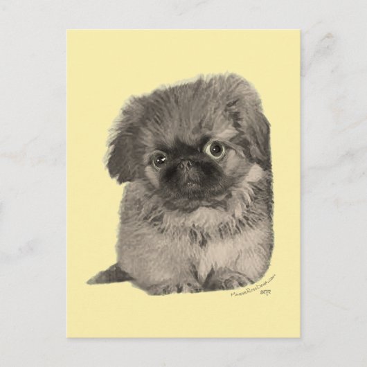 ペキニーズの子犬 イエロー ポストカード (正面)