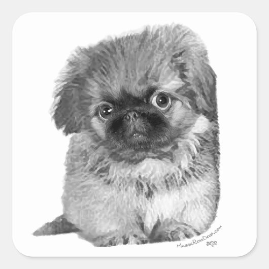 ペキニーズの子犬 スクエアシール (正面)