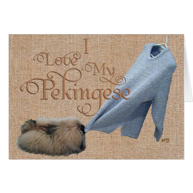 ペキニーズ綱引き (正面横)