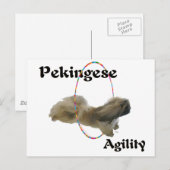ペキニーズ・アジリティ ポストカード (正面/裏面)