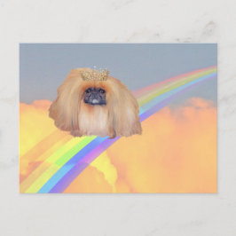 ペキニーズ レインボー ポストカード