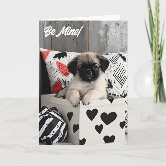 ペキネスパピバレンタインカード サンキューカード (正面)