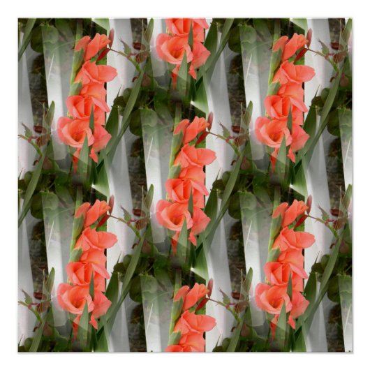 ペキネス….. ポスター (正面)