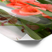 ペキネス….. ポスター (コーナー)