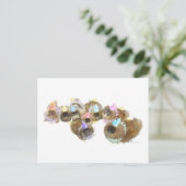 ペキンお祝いグループ ポストカード (スタンド正面)