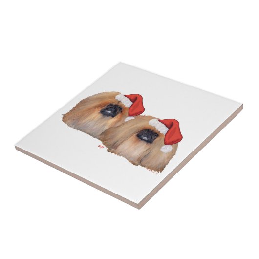 ペキンのクリスマス タイル (側面)