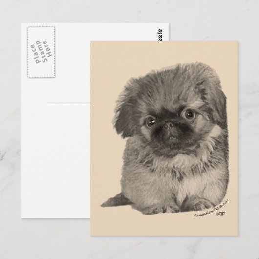 ペキンの子犬 ポストカード (正面/裏面)