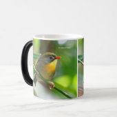 ペキンカラフルロビンソンバードオンブランチ マグカップ (正面左)