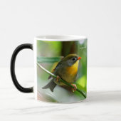 ペキンカラフルロビンソンバードオンブランチ マグカップ (左)