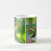 ペキンカラフルロビンソンバードオンブランチ マグカップ (中央)