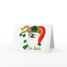 ペキンネーゼSt patricks