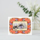 ペキン人の船員 ポストカード (スタンド正面)