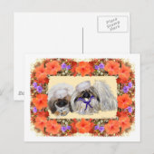 ペキン人の船員 ポストカード (正面/裏面)