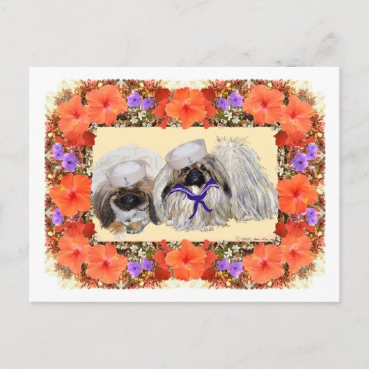 ペキン人の船員 ポストカード (正面)