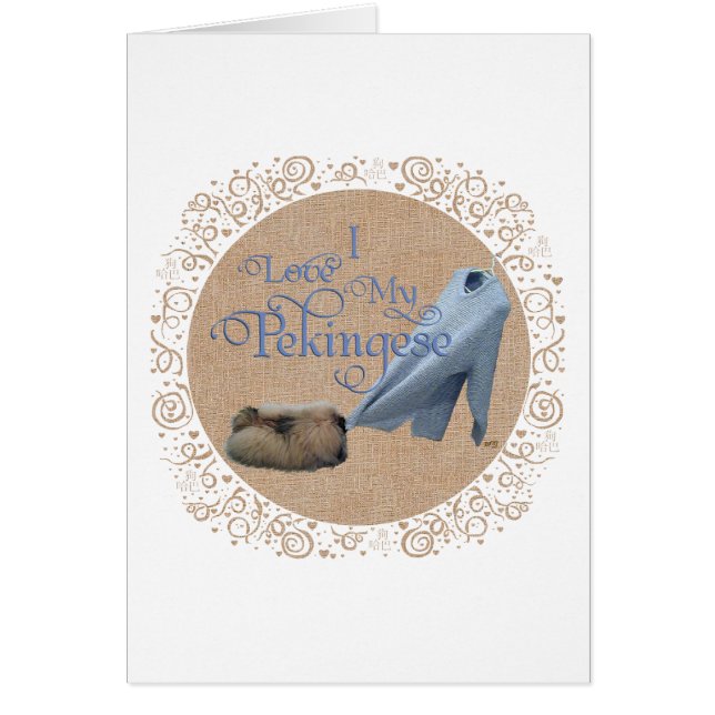 ペキン族の綱引き (正面)