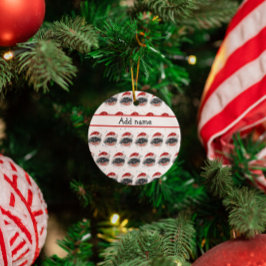 ペキン犬がクリスマススターを育てる セラミックオーナメント