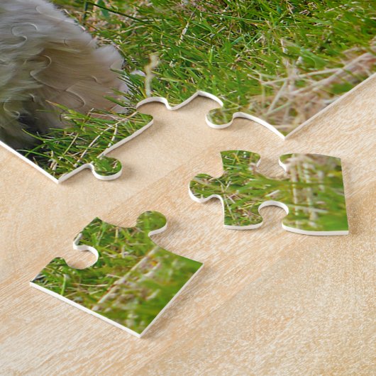 ペキン犬。 ジグソーパズル (側面)