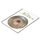 ペキン王室のグ ノートブック (左側)