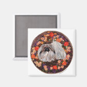 ペキン磁石 マグネット (正面/裏面)