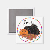 ペキン磁石 マグネット (正面/裏面)