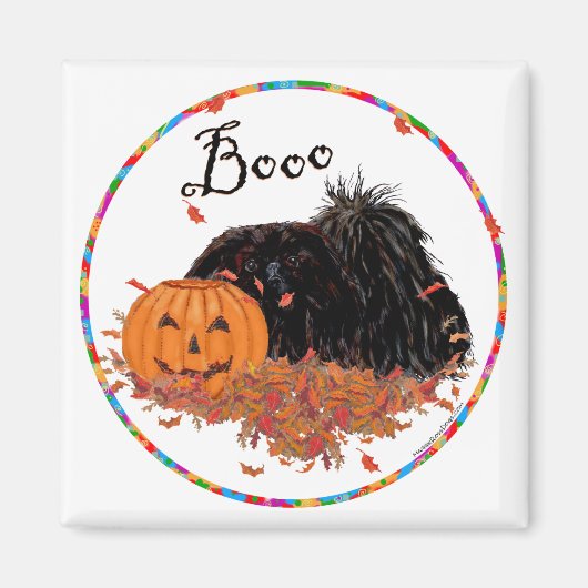 ペキン磁石 マグネット (正面)