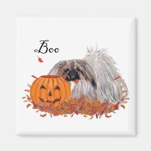 ペキン磁石 マグネット (正面)