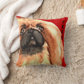 ペキン色ブロック クッション (ブランケット)