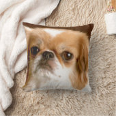 「ペキン語」 クッション (ブランケット)