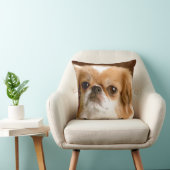 「ペキン語」 クッション (椅子)