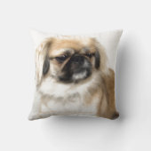 「ペキン語」 クッション (裏面)