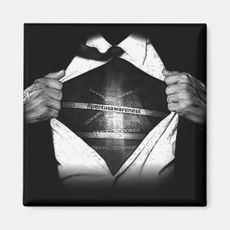 ペクタスアウェアネス冷凍機磁石 マグネット