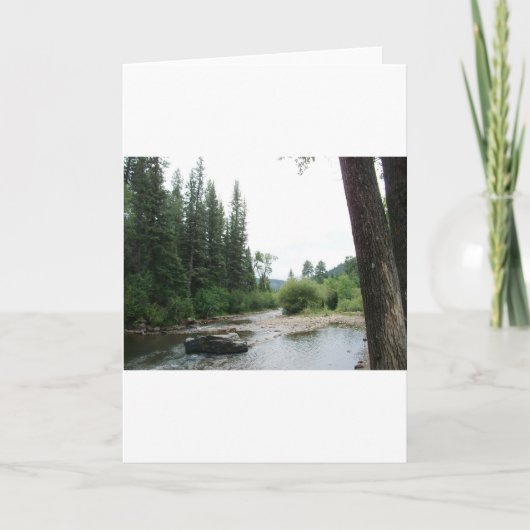 ペコスワイルドネス，ニューメキシコ カード (正面)