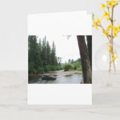 ペコスワイルドネス，ニューメキシコ カード (黄色い花)